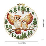 Owl Embroidery Kit