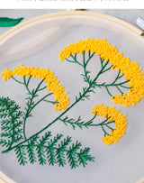 Transparent Double-Sided Flower Embroidery Starter Kit