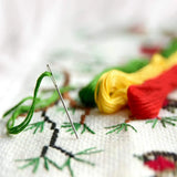 30-Stitch Beginner Embroidery Sampler Kit ⭐ Kits For Stitchers