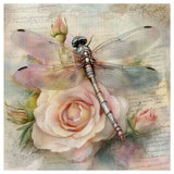 Vintage Dragonfly & Blush Rose Cross Stitch Kit