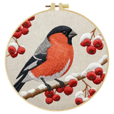 Bird Embroidery Starter Kit – DIY Bullfinch Sewing Art Set for Kits For Stitchers