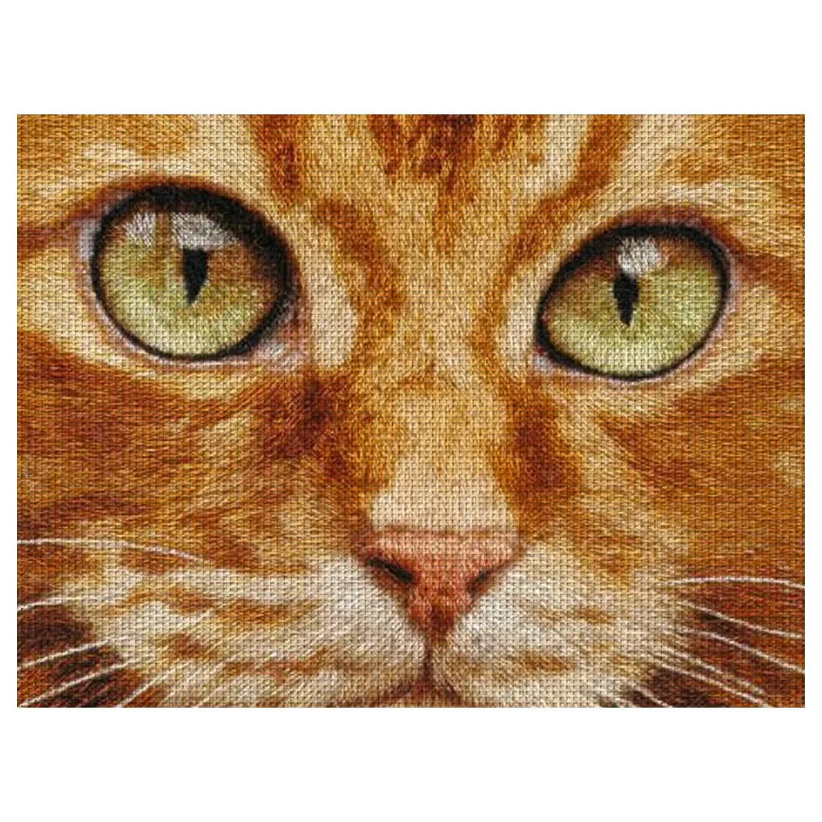 Ginger Cat Eyes Cross Stitch Kit 🐱🧵✨