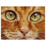 Ginger Cat Eyes Cross Stitch Kit 🐱🧵✨