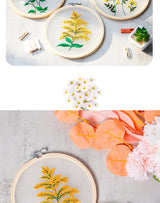 Transparent Double-Sided Flower Embroidery Starter Kit