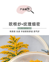 Transparent Double-Sided Flower Embroidery Starter Kit