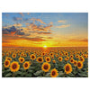 Sunflower Field Sunset Cross Stitch Kit 🌻🌅
