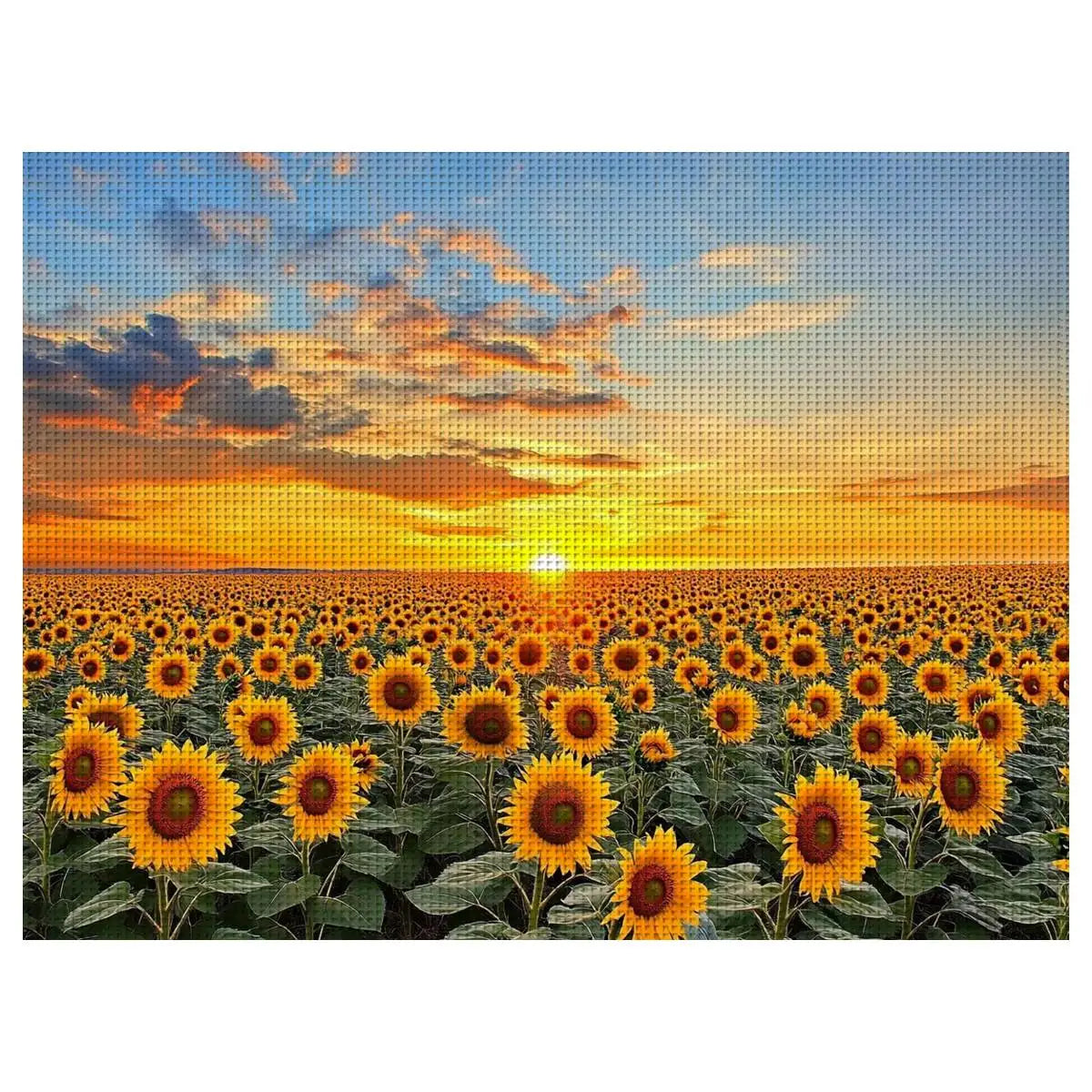 Sunflower Field Sunset Cross Stitch Kit 🌻🌅