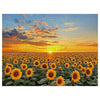 Sunflower Field Sunset Cross Stitch Kit 🌻🌅 Kits For Stitchers