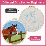 Horse Embroidery Kit – Rustic Farm Horse Needlepoint Pattern with Countryside Fence Scene for Animal Lovers & Beginners