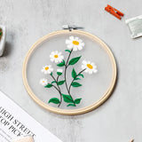 Transparent Double-Sided Flower Embroidery Starter Kit
