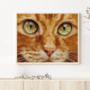 Ginger Cat Eyes Cross Stitch Kit 🐱🧵✨