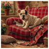Mischievous French Bulldog Cross Stitch Kit 🐾🛋️