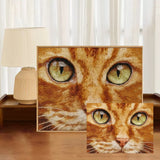 Ginger Cat Eyes Cross Stitch Kit 🐱🧵✨