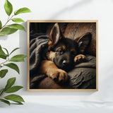 Sleeping Shepherd Puppy Cross Stitch Kit 🐾💤🤎